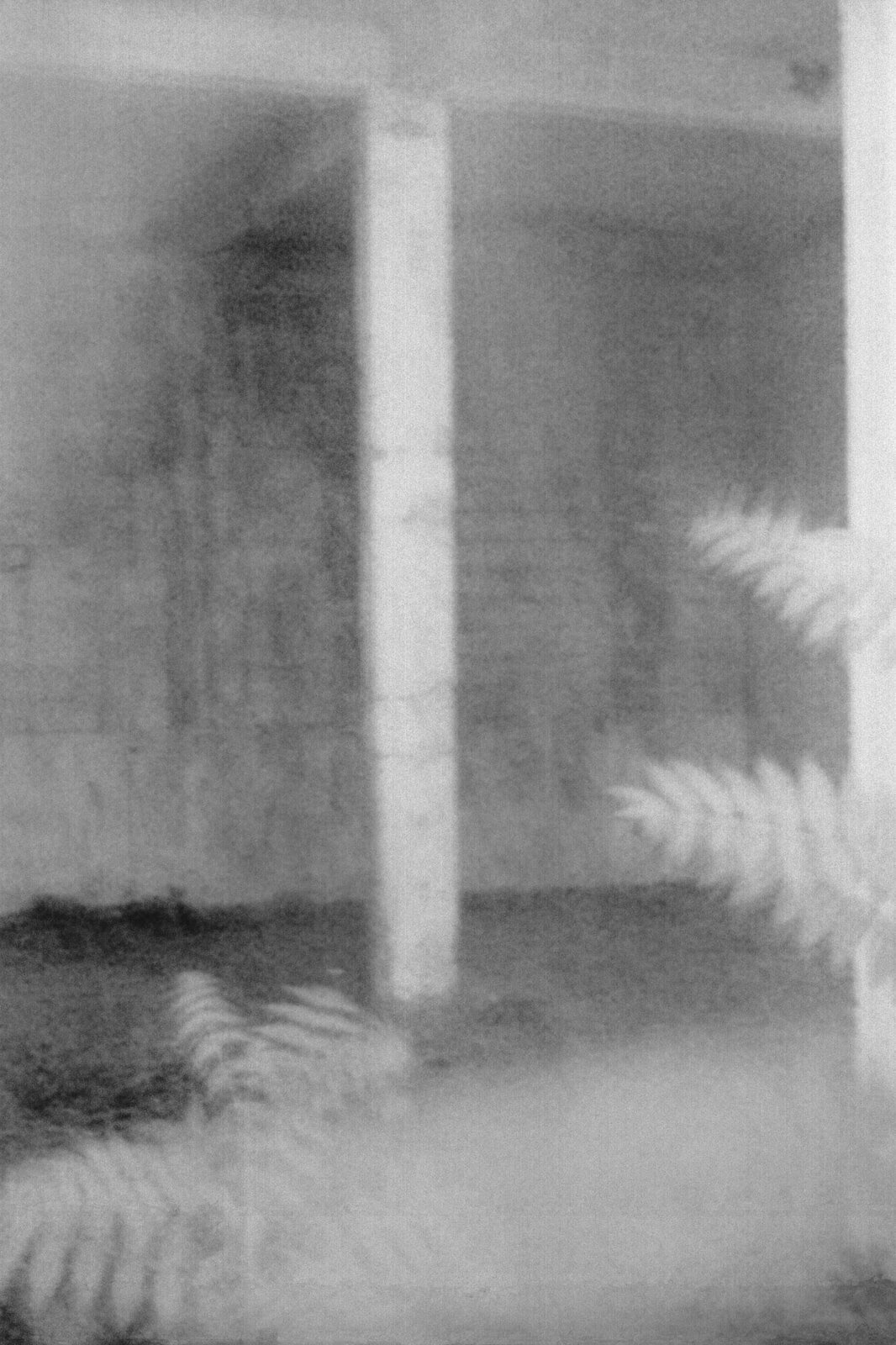 NOEMA-Michael_Swann-Yogurt_Magazine_10