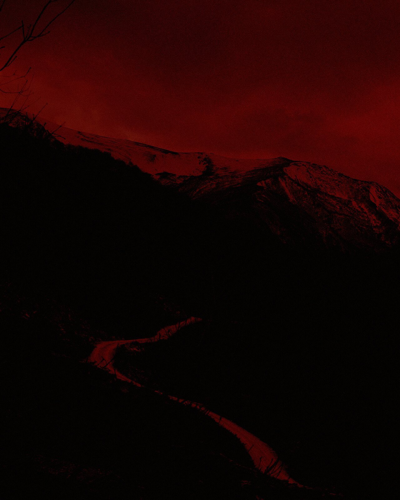 NOEMA-Michael_Swann-Yogurt_Magazine_11