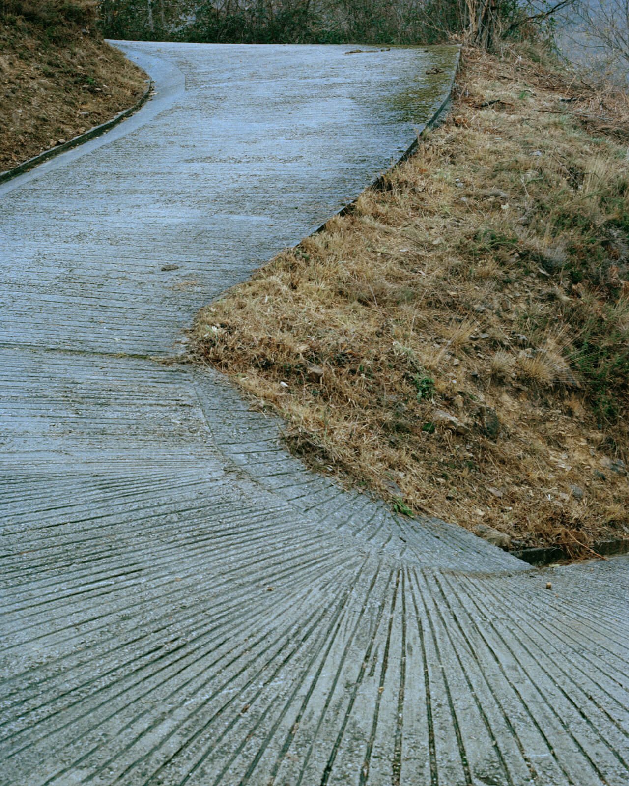 NOEMA-Michael_Swann-Yogurt_Magazine_14