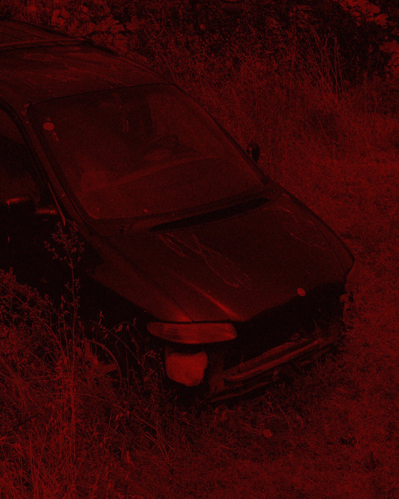 NOEMA-Michael_Swann-Yogurt_Magazine_19