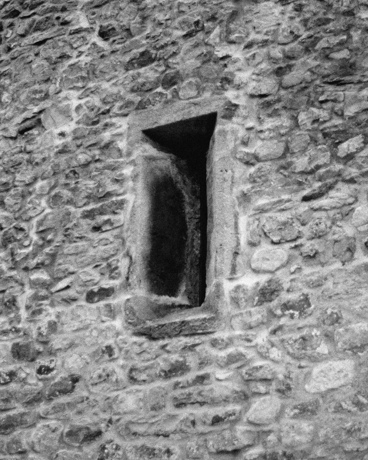 NOEMA-Michael_Swann-Yogurt_Magazine_20