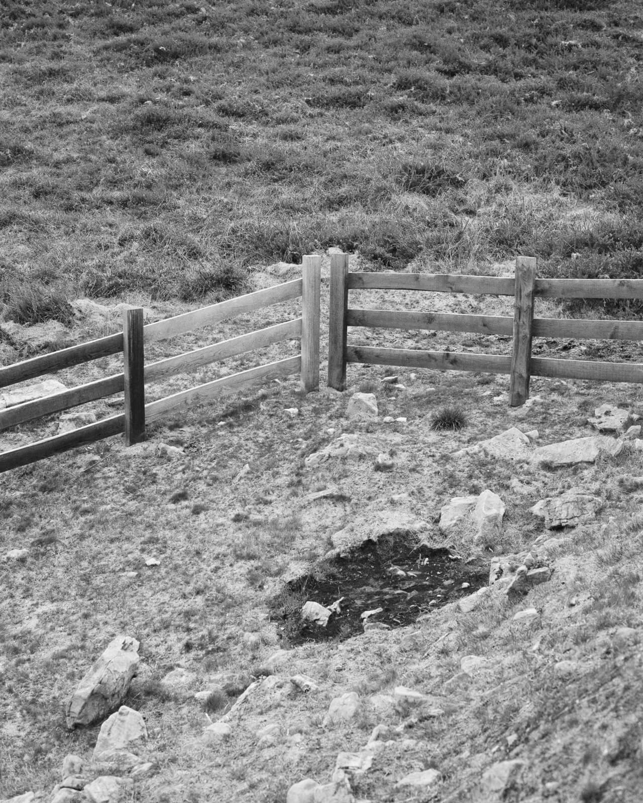 NOEMA-Michael_Swann-Yogurt_Magazine_3