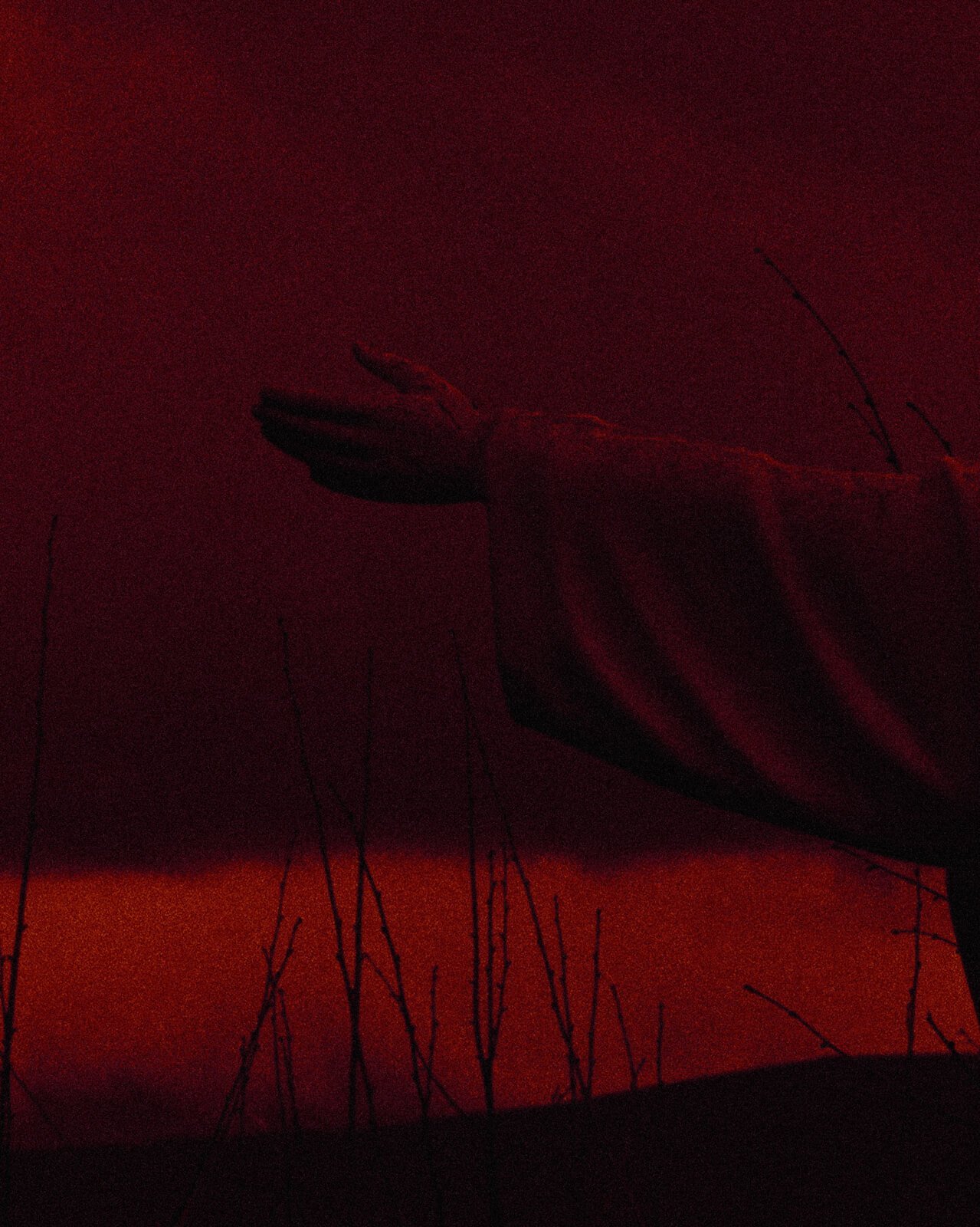 NOEMA-Michael_Swann-Yogurt_Magazine_4