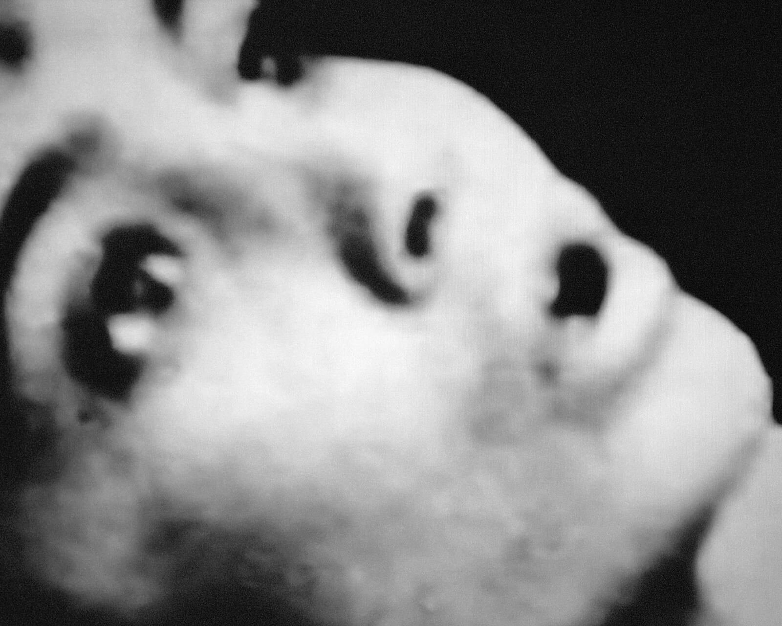 NOEMA-Michael_Swann-Yogurt_Magazine_7