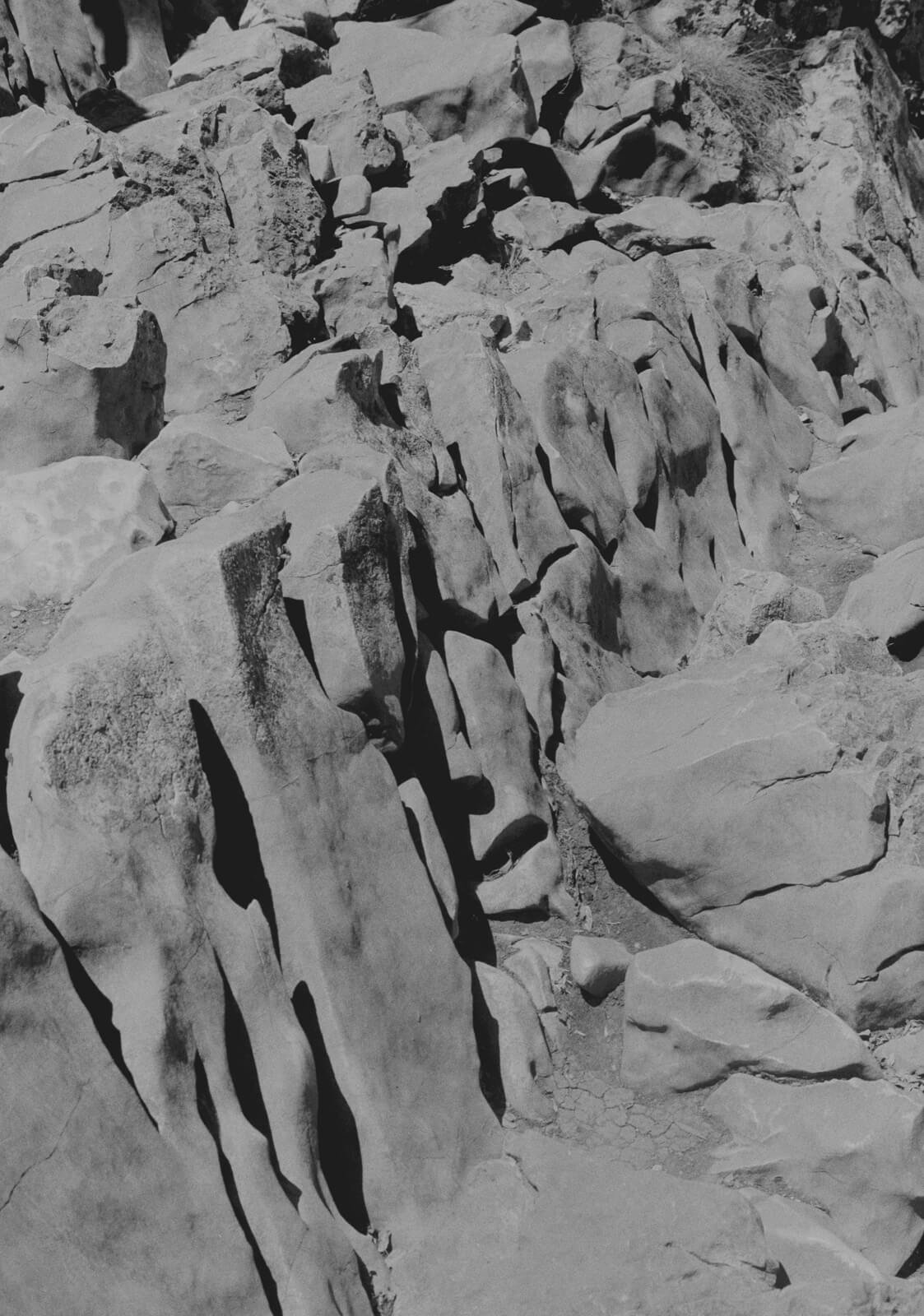 NOEMA-Michael_Swann-Yogurt_Magazine_8