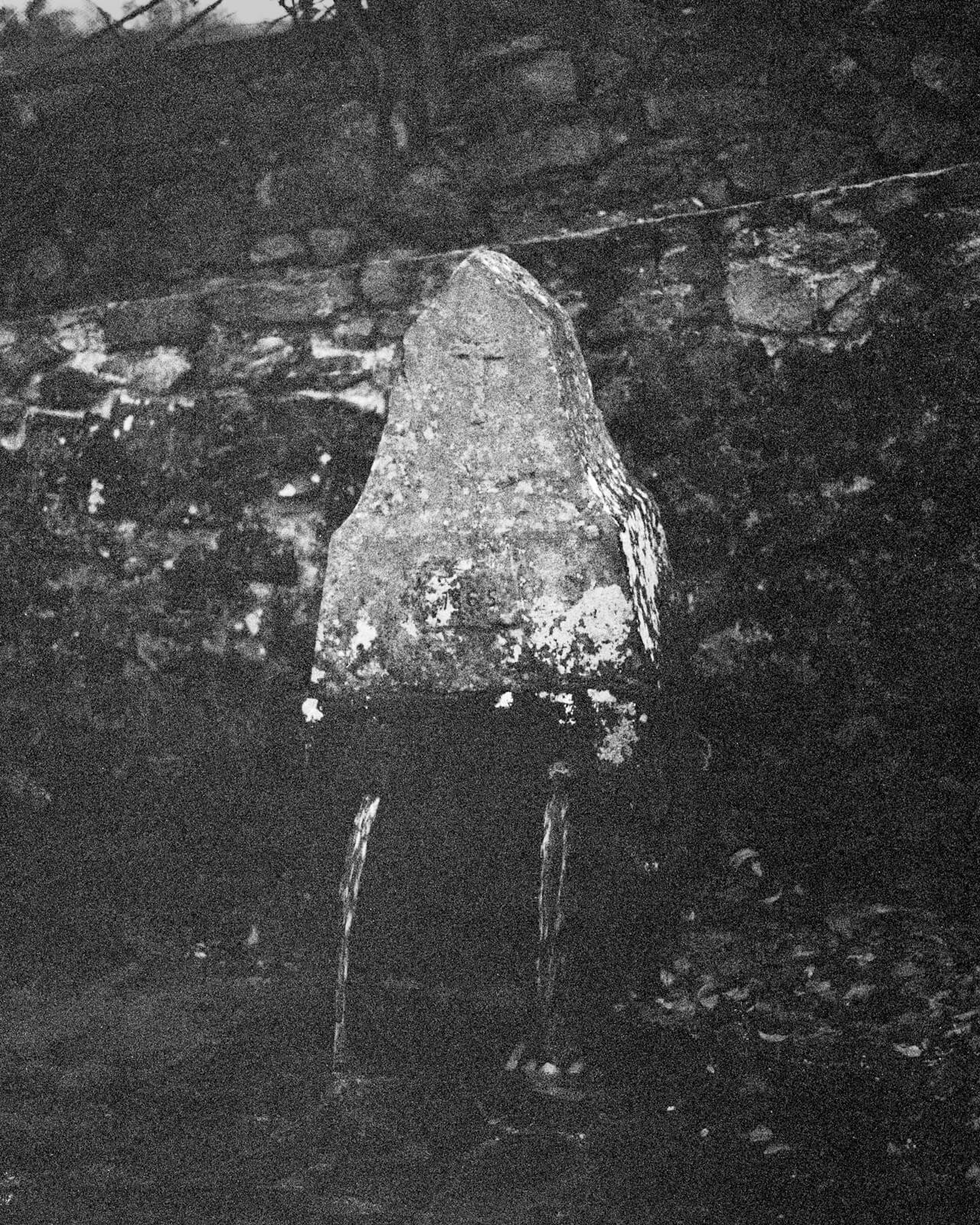 NOEMA-Michael_Swann-Yogurt_Magazine_9