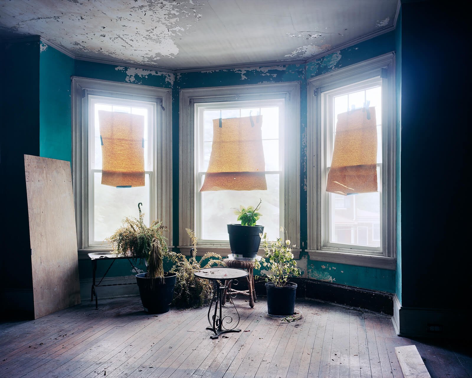 Will_Harris-Evelyn_Beckett-Yogurt_Magazine-2