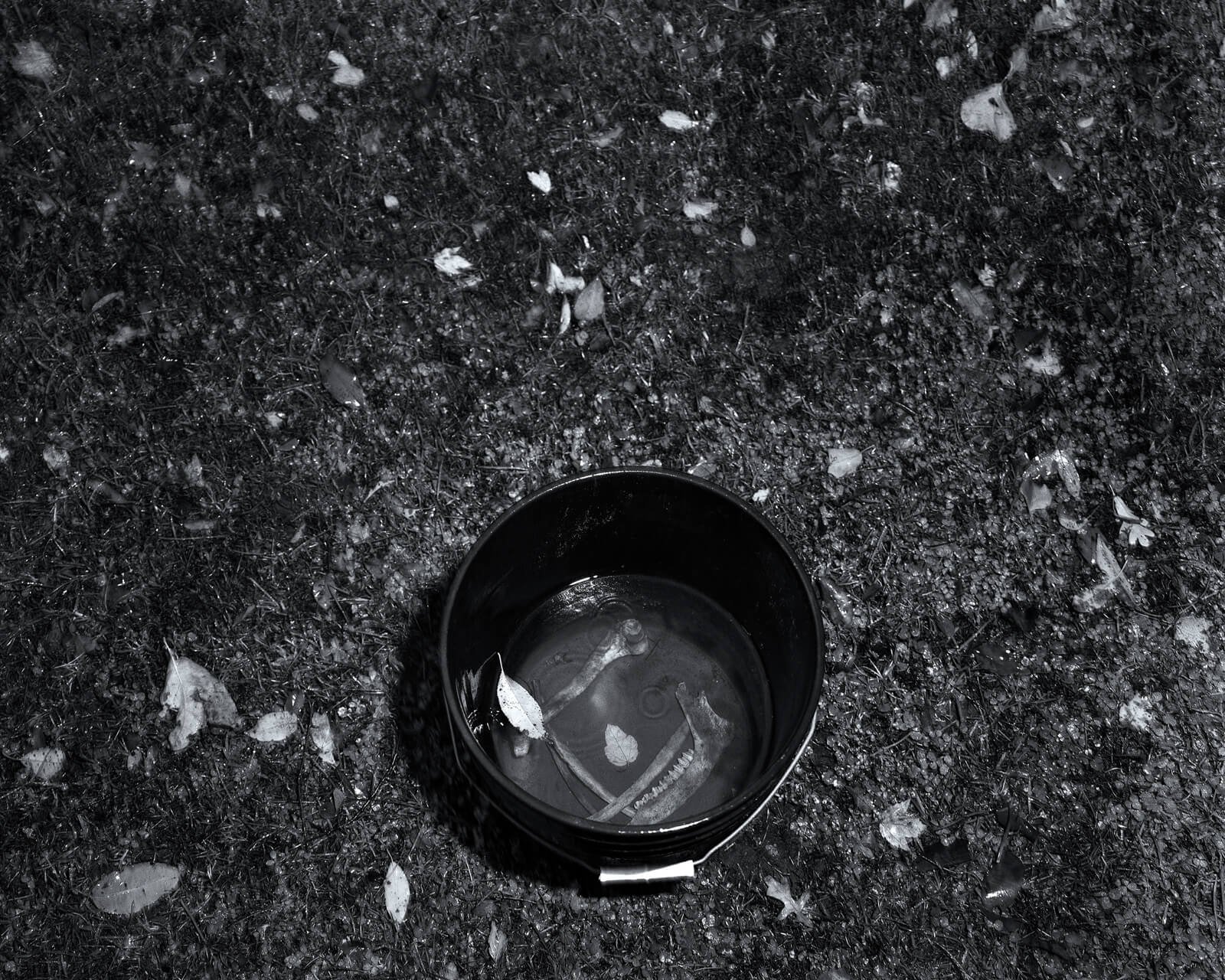 Will_Harris-Evelyn_Beckett-Yogurt_Magazine-8