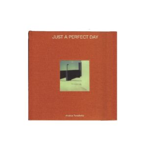 JUST A PERFECT DAY By Andrea Tonellotto