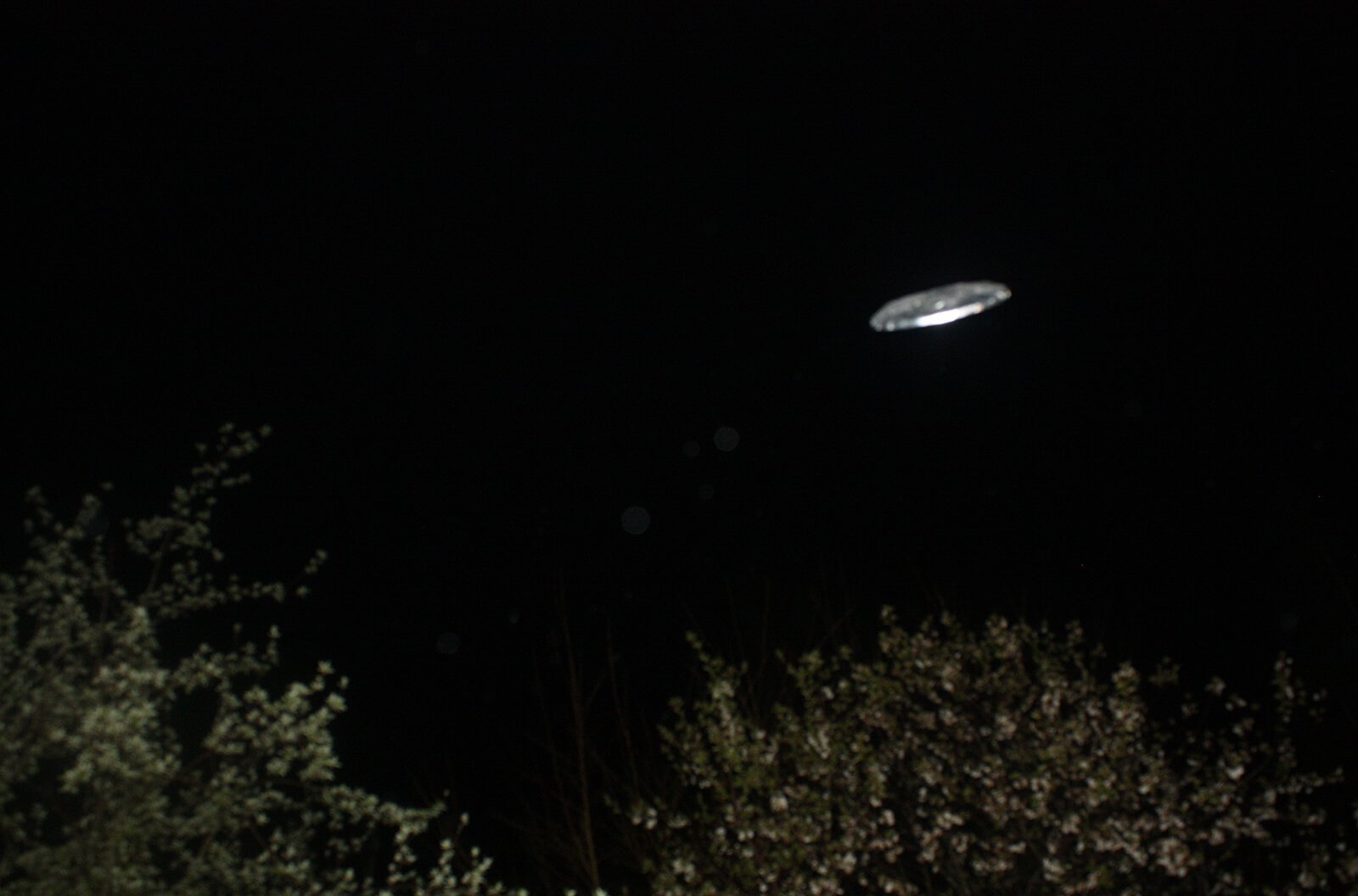 My_boyfriend_is_an_alien-Nazarova_Daria-yogurt_magazine-001