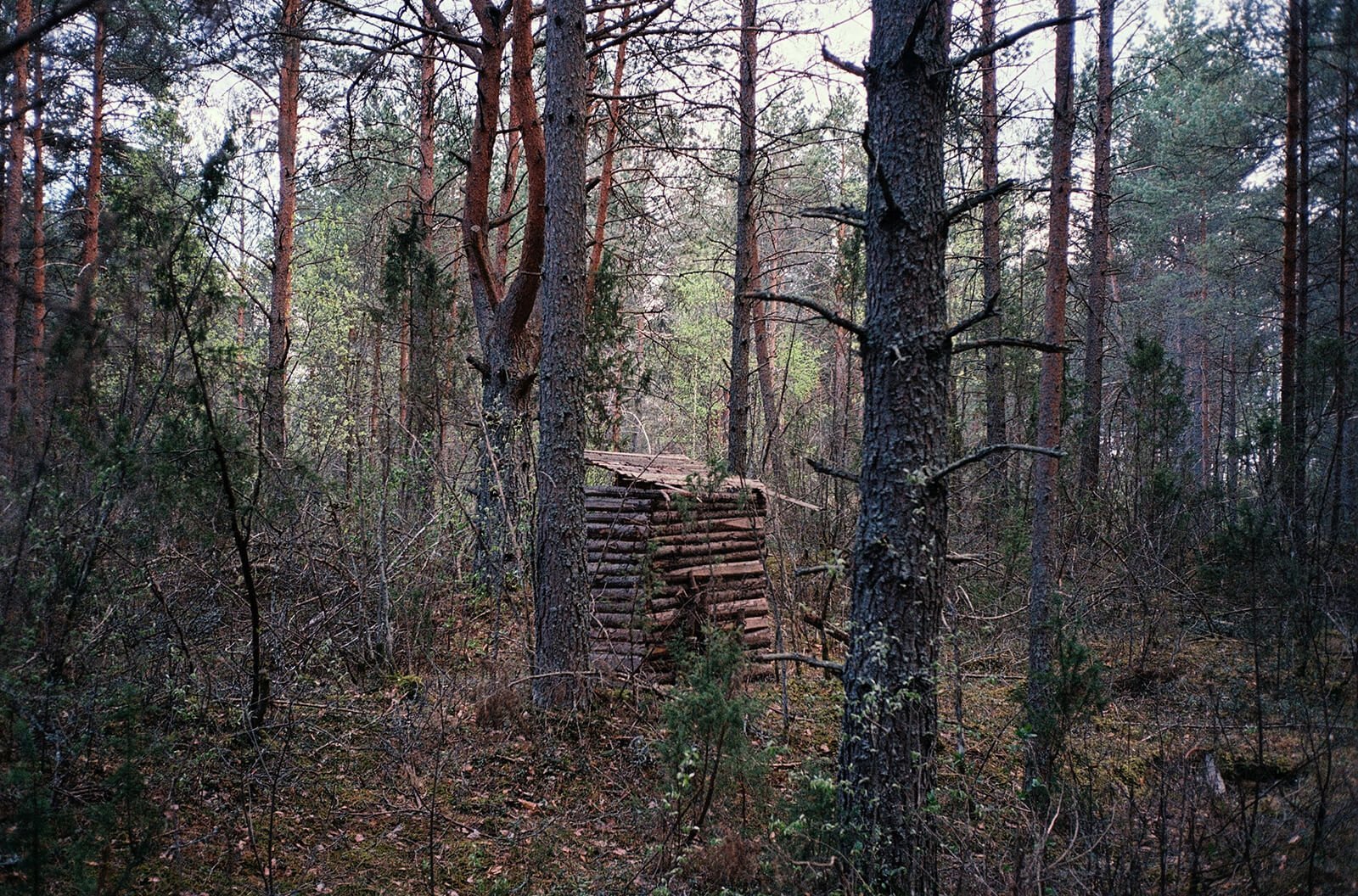 My_boyfriend_is_an_alien-Nazarova_Daria-yogurt_magazine-003