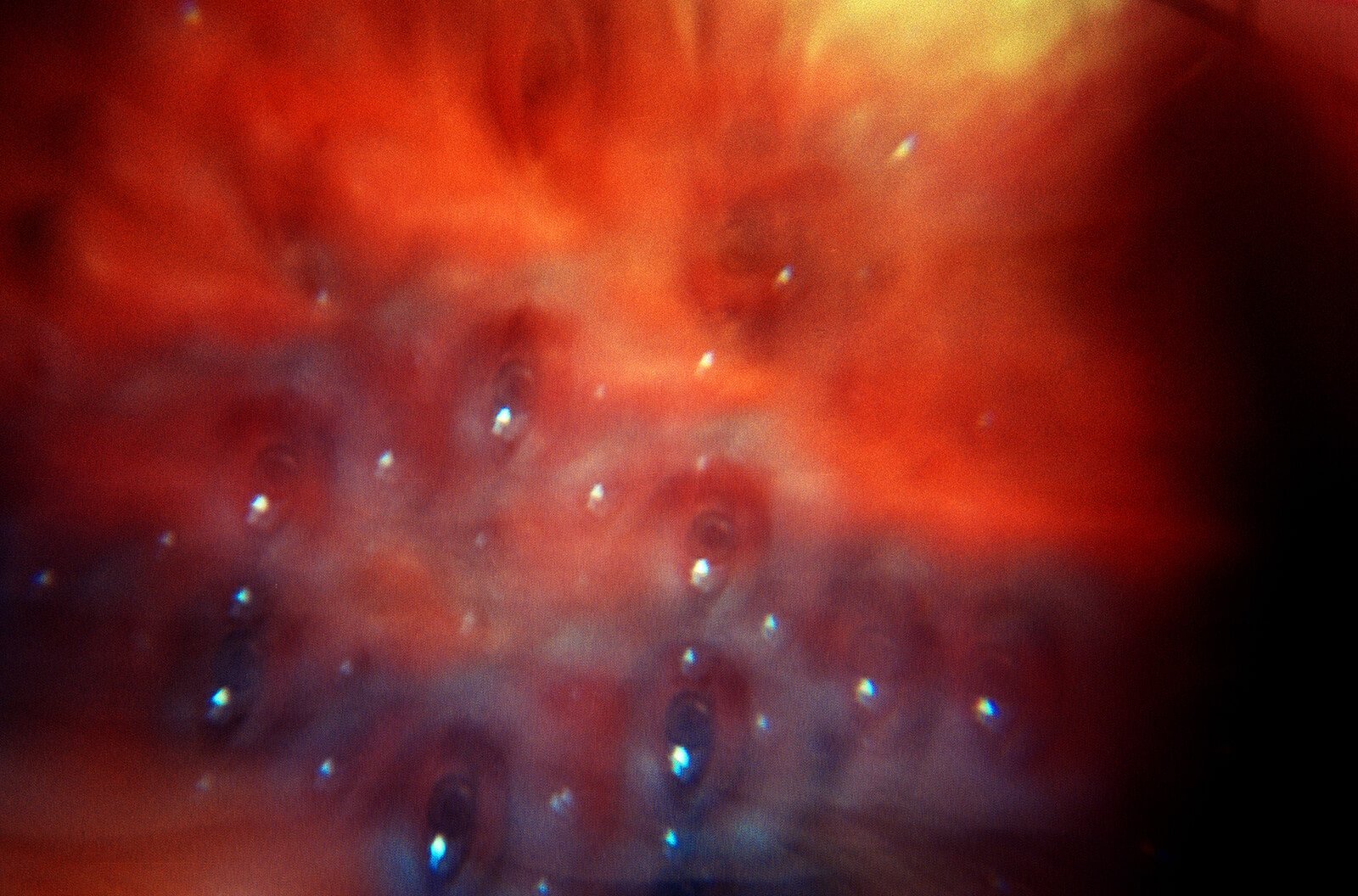 My_boyfriend_is_an_alien-Nazarova_Daria-yogurt_magazine-004