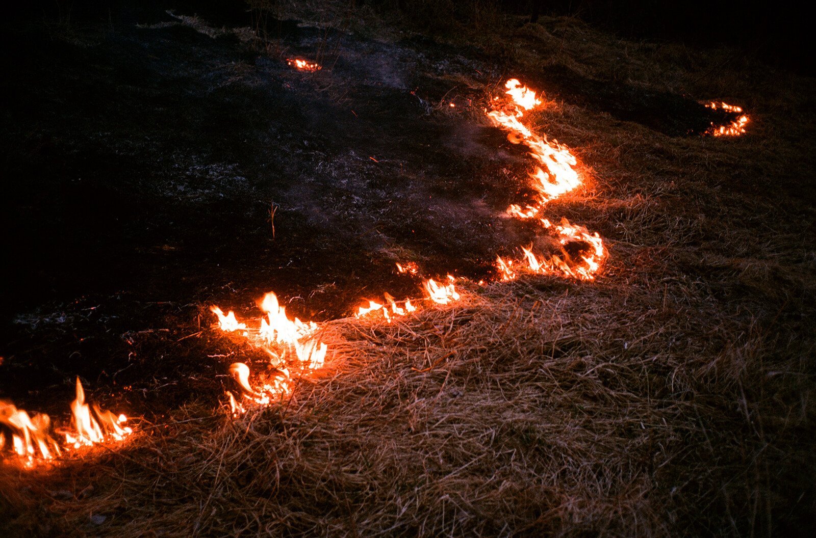 My_boyfriend_is_an_alien-Nazarova_Daria-yogurt_magazine-005