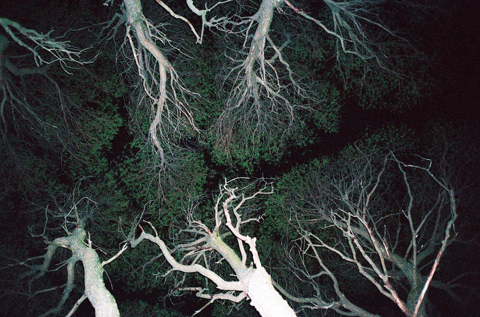 My_boyfriend_is_an_alien-Nazarova_Daria-yogurt_magazine-021