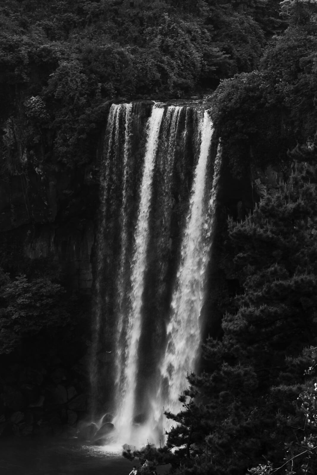 Considérations_Préliminaires-Artur_Fechoz-Yogurt_Magazine_17