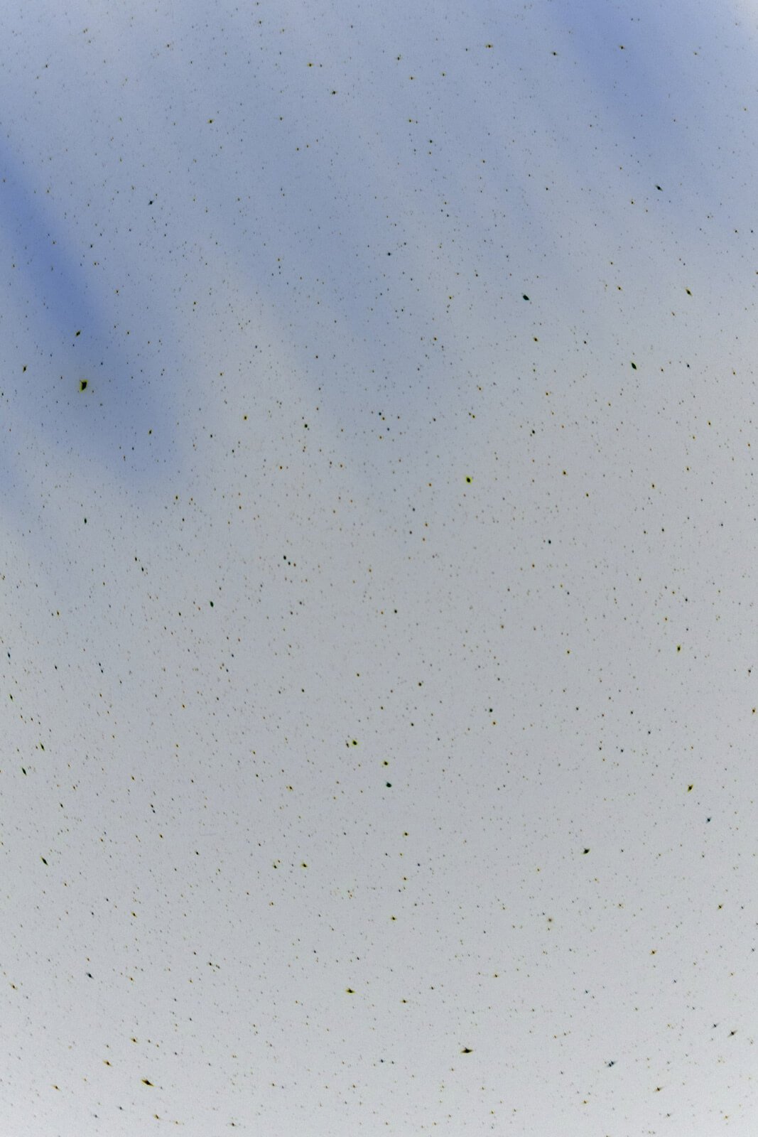 Considérations_Préliminaires-Artur_Fechoz-Yogurt_Magazine_50