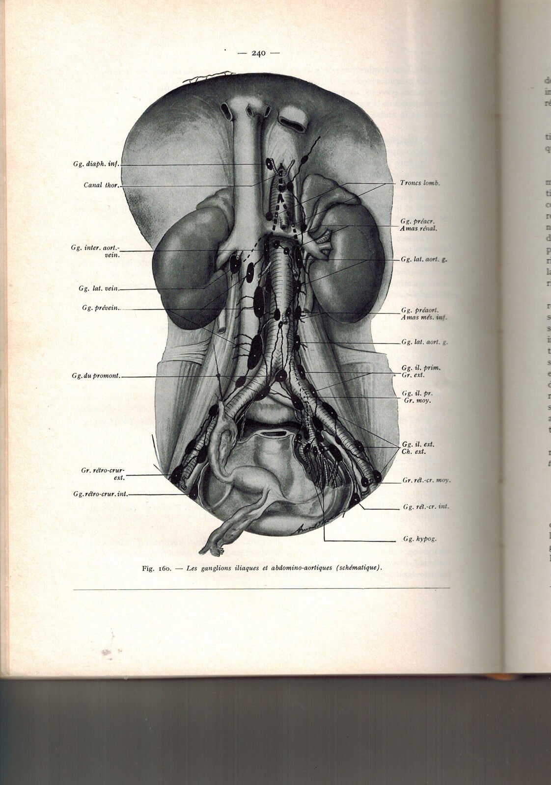 Considérations_Préliminaires-Artur_Fechoz-Yogurt_Magazine_66