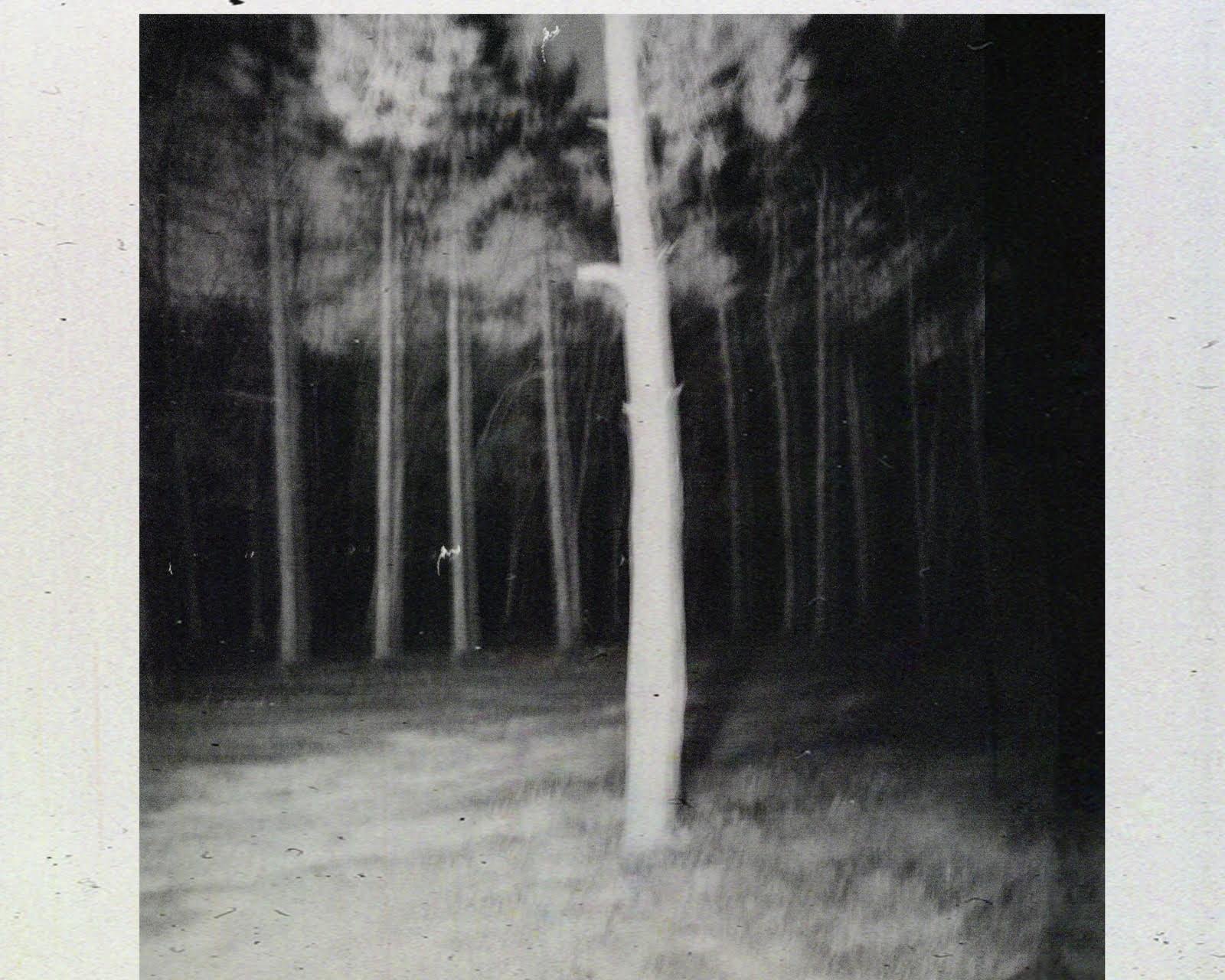 Fundamental space explorations of naked singulari_Sergey-Melnitchenko_Yogurt- Magazine21