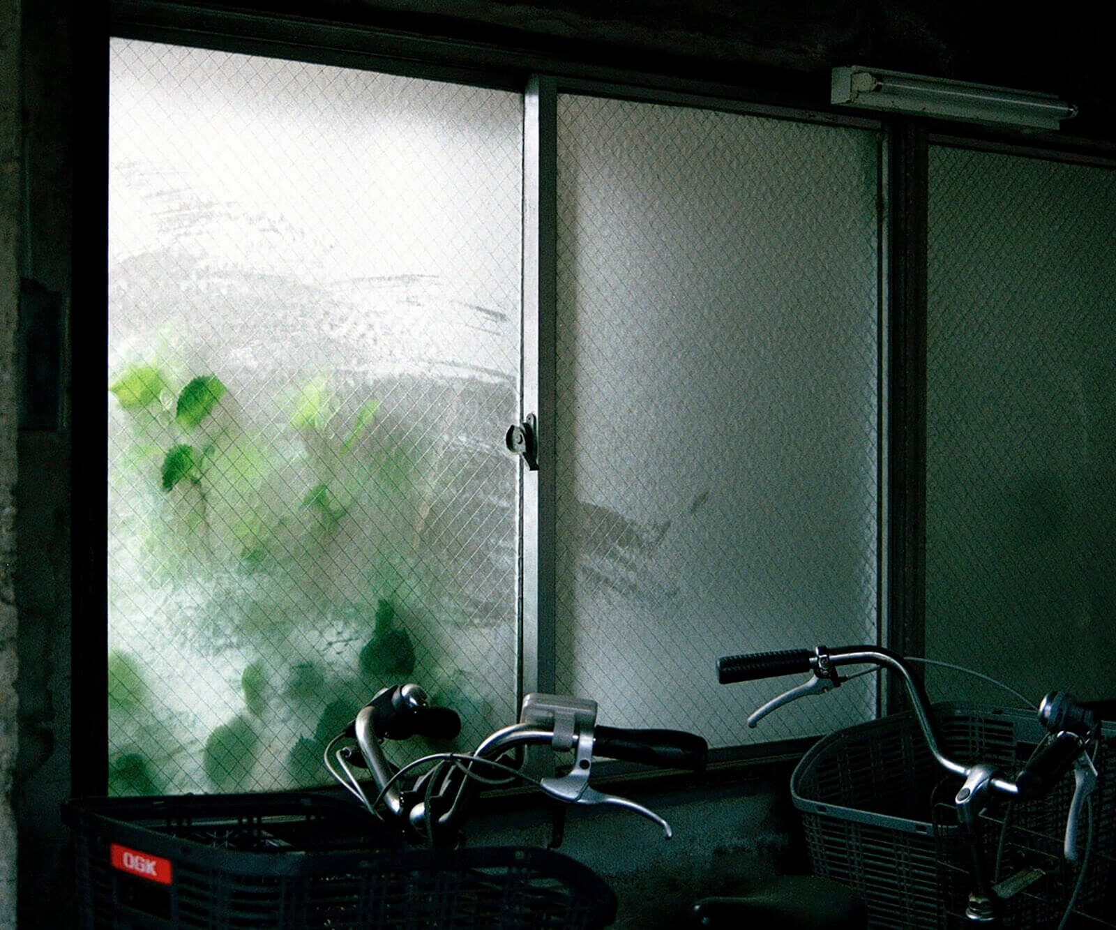 Siouzie-Albiach_On-the-edge_Yogurt-magazine-08