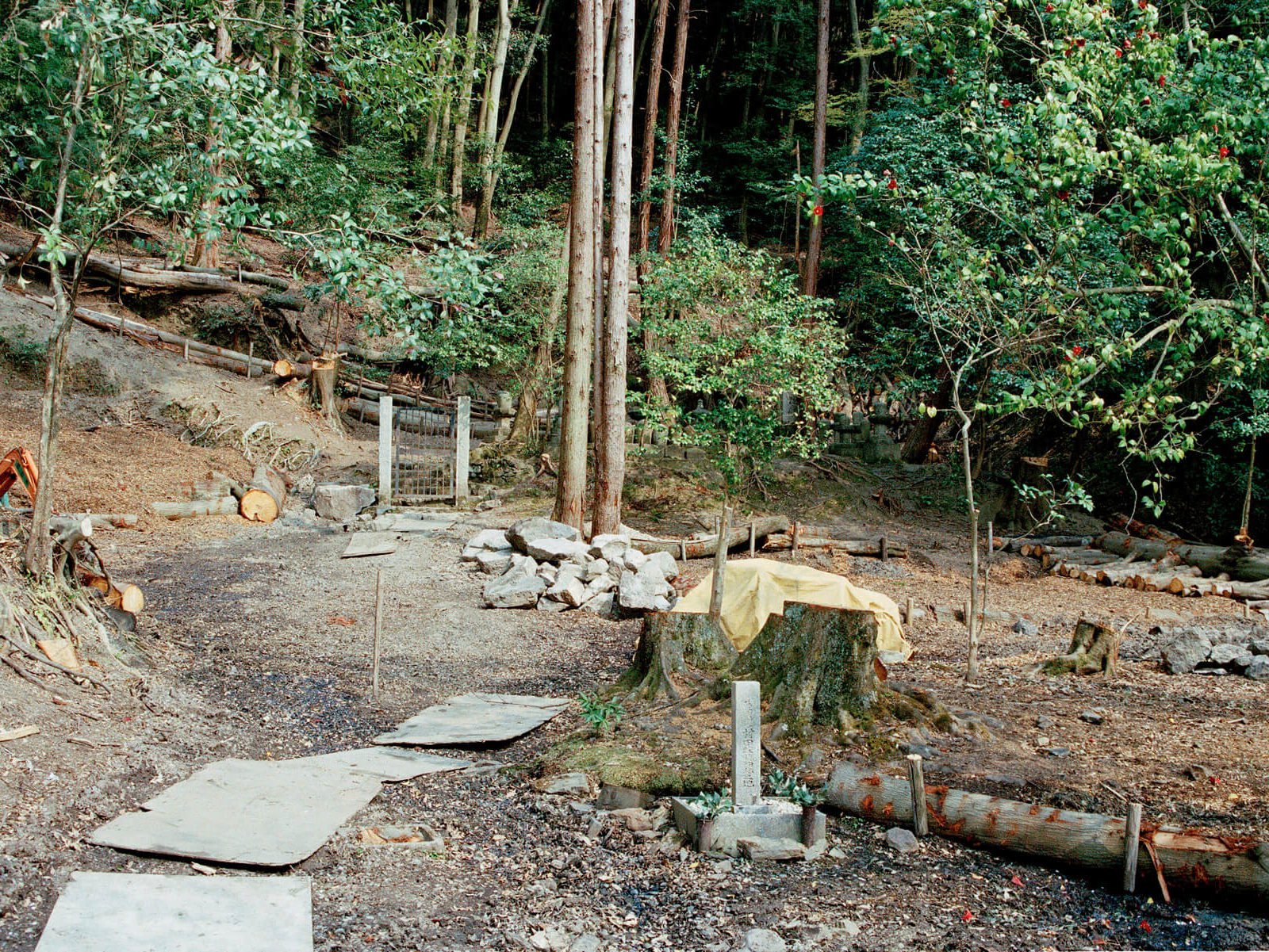 Siouzie-Albiach_On-the-edge_Yogurt-magazine-13