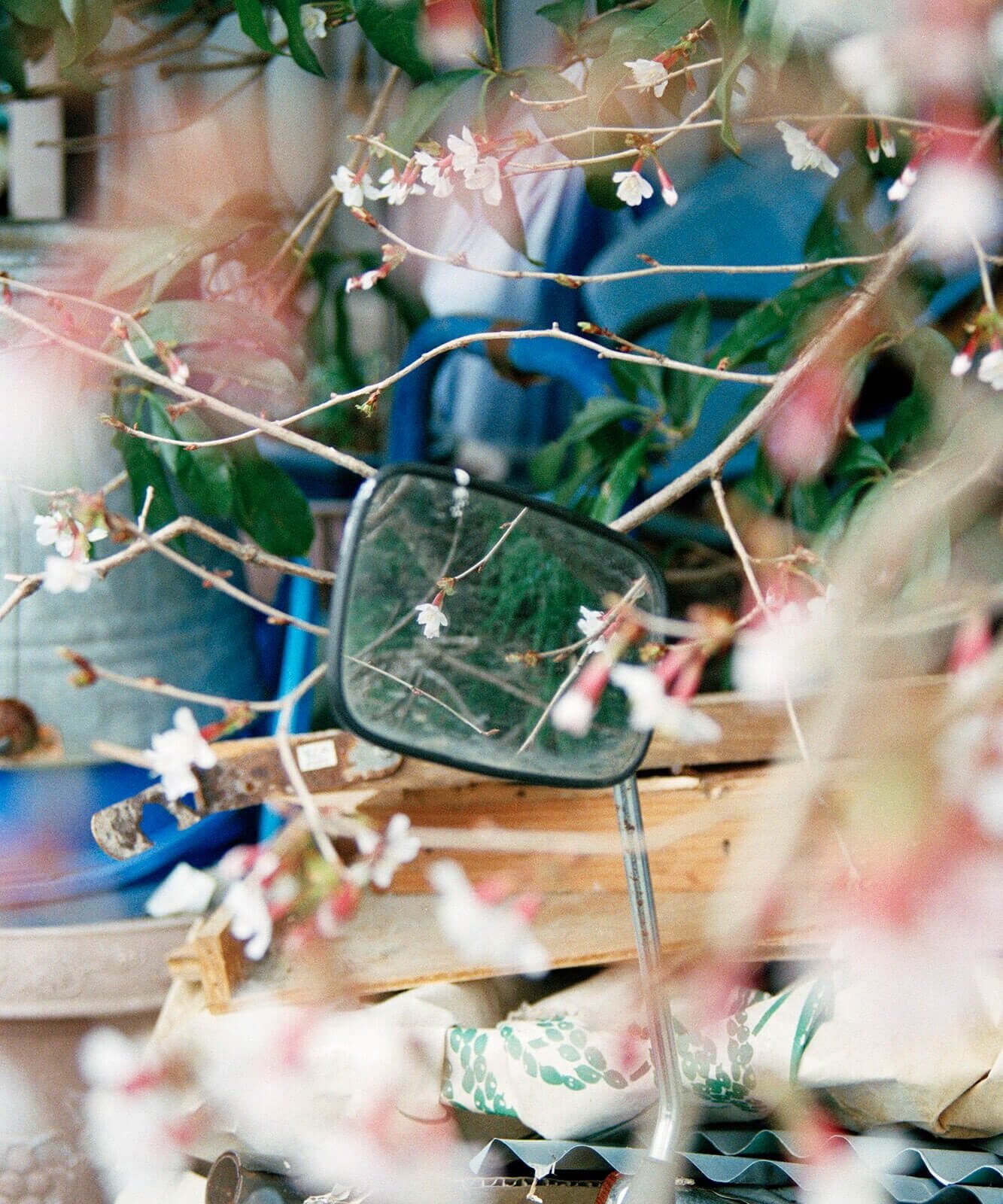 Siouzie-Albiach_On-the-edge_Yogurt-magazine-14