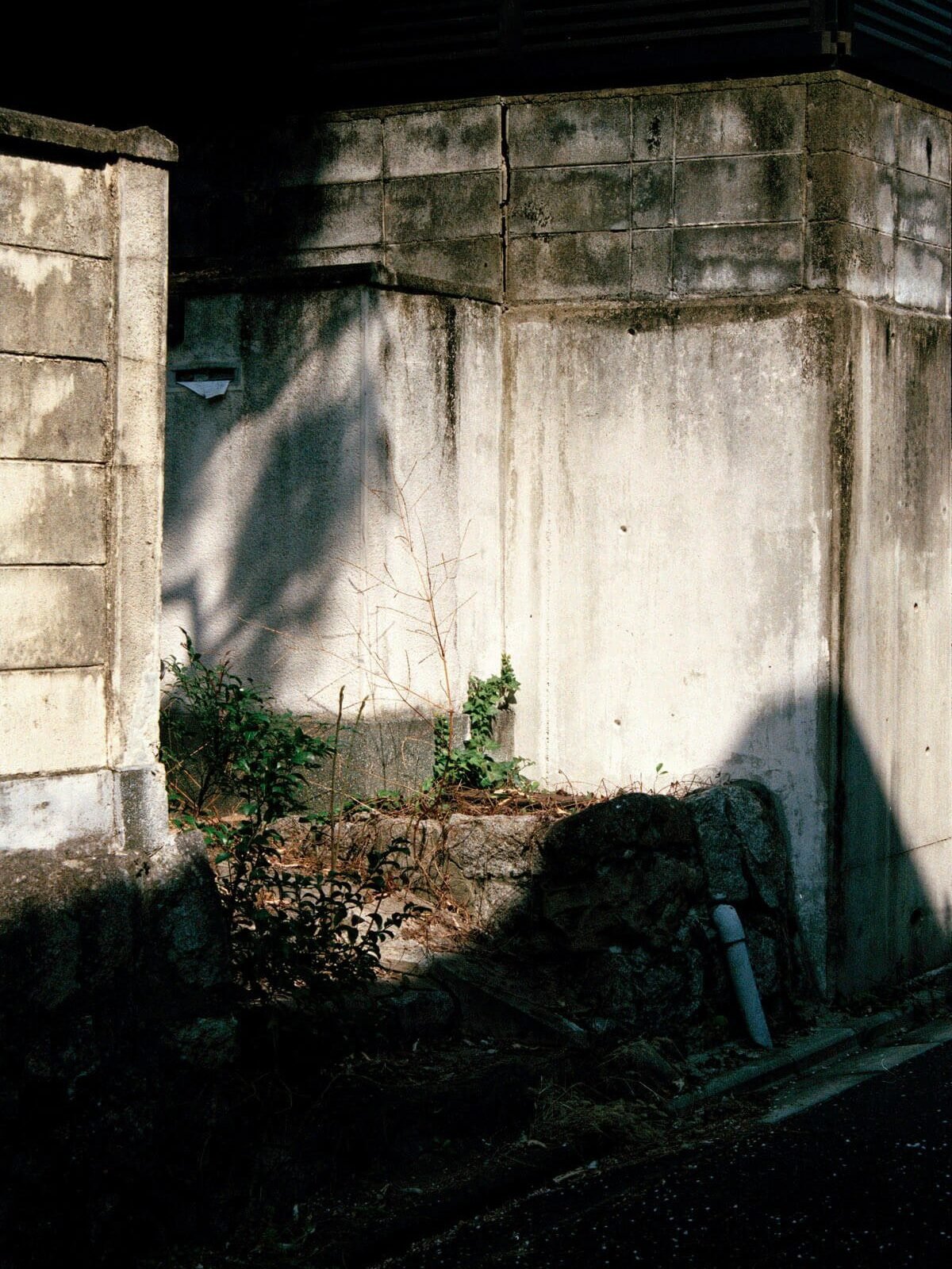 Siouzie-Albiach_On-the-edge_Yogurt-magazine-16