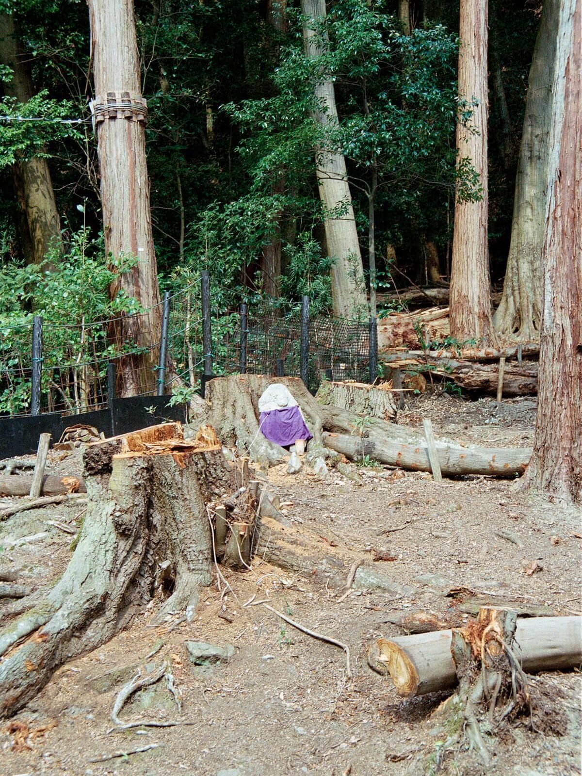 Siouzie-Albiach_On-the-edge_Yogurt-magazine-18