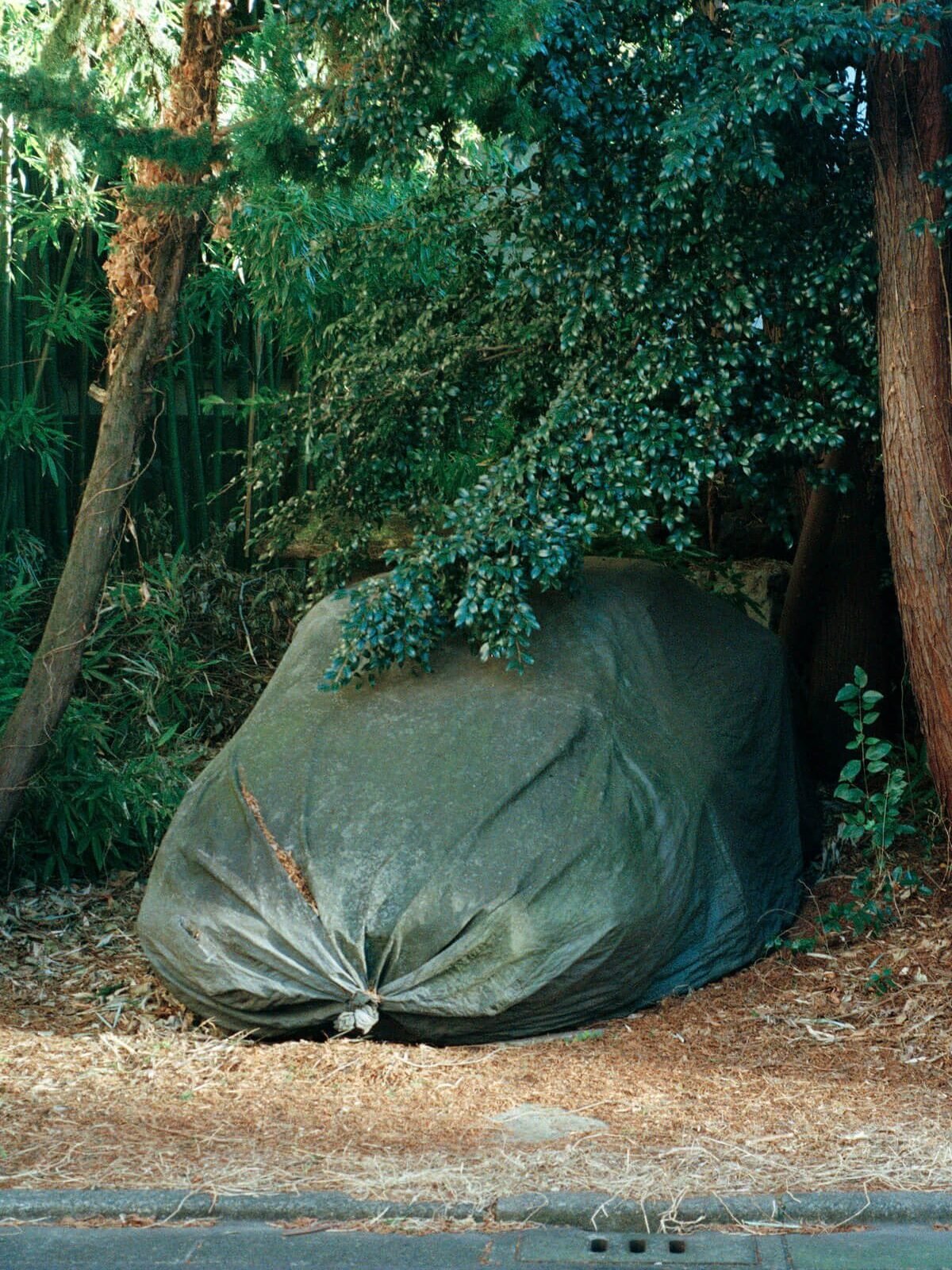 Siouzie-Albiach_On-the-edge_Yogurt-magazine-19