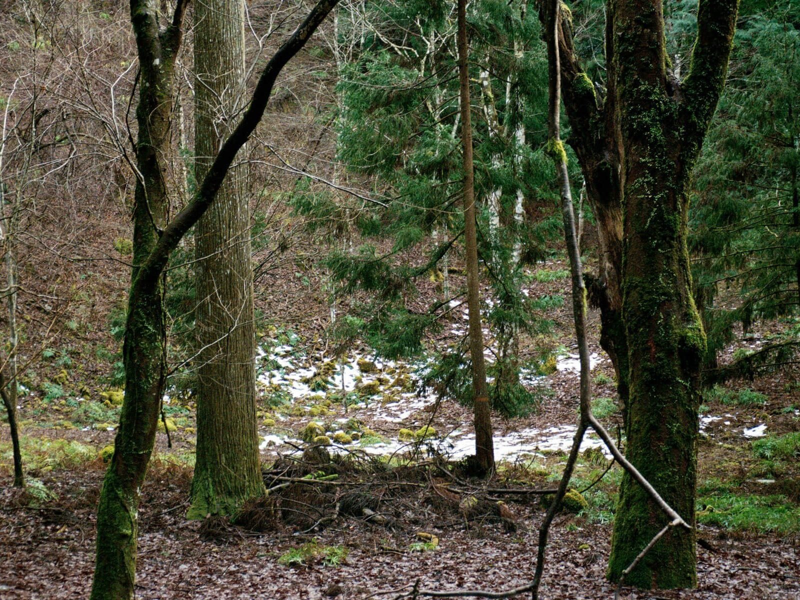 Siouzie-Albiach_On-the-edge_Yogurt-magazine-20