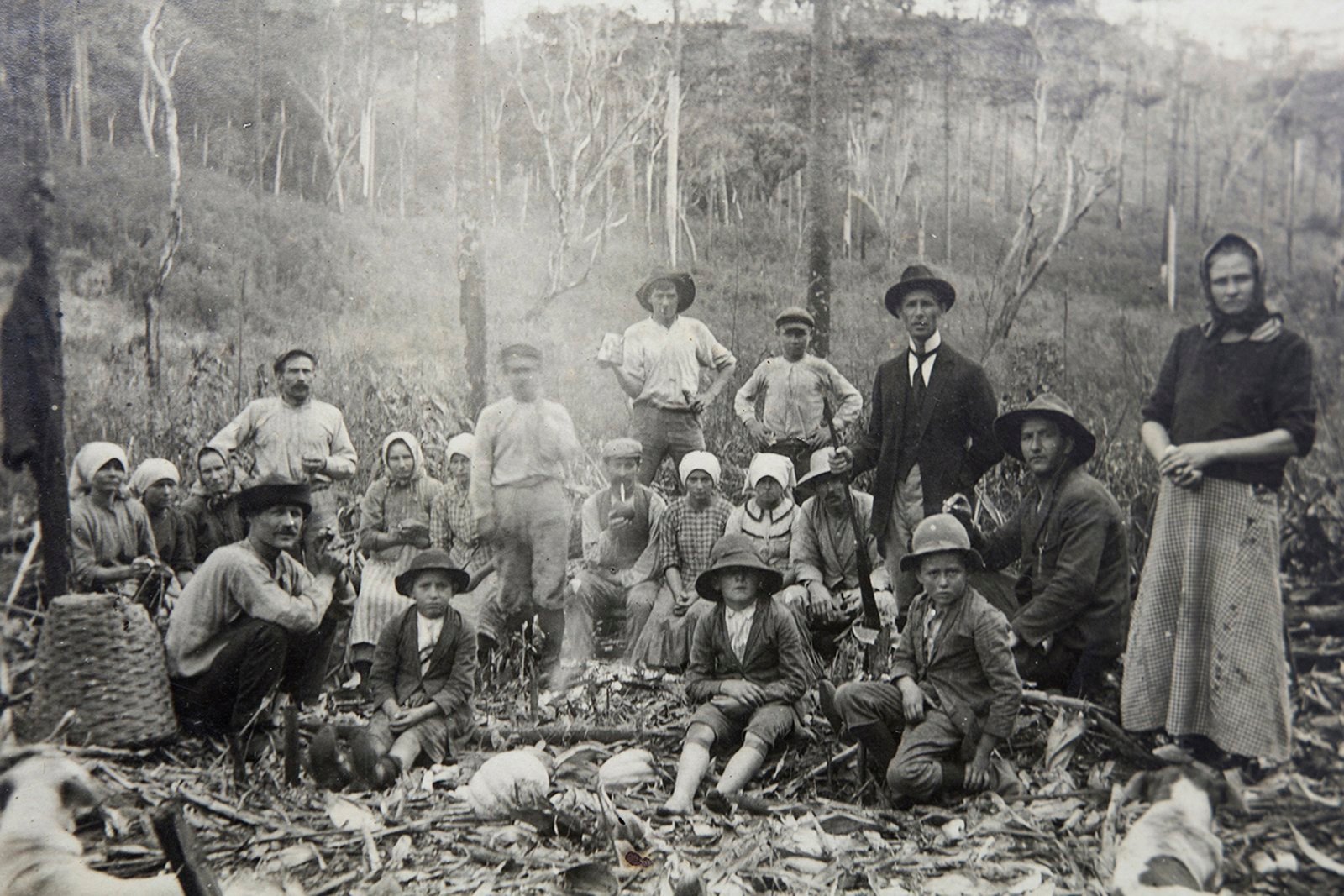 Archival photograph from the family archive of Guizelia De Almeida Wronski, Mallet, Brazil. Polish settlers probably cutting down the forest to build a colony. End of XIX century, exact date unknown.