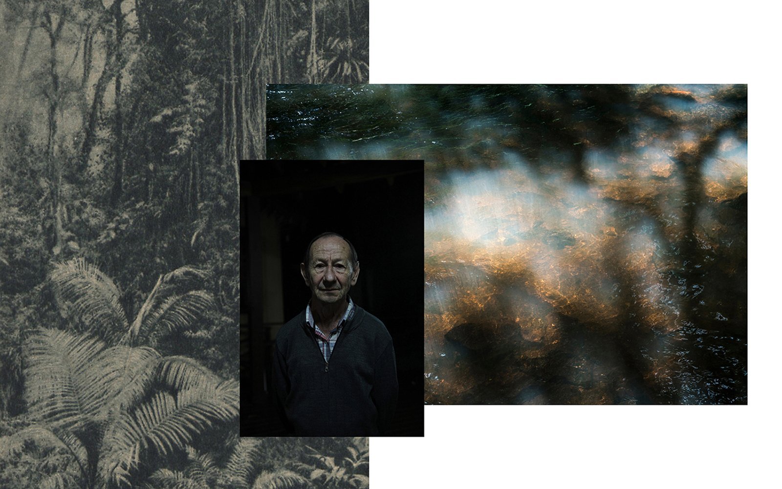 From the left: "Virgin forest" from the book Tadeusz Chrostowski "Parana, memories of travel" from 1914 - possible source of knowledge about the nature of destination country of migrants; Member of the association of descendants of Polish immigrants in Brazil - BRASPOL; Detail of the small river in Parana nowadays.