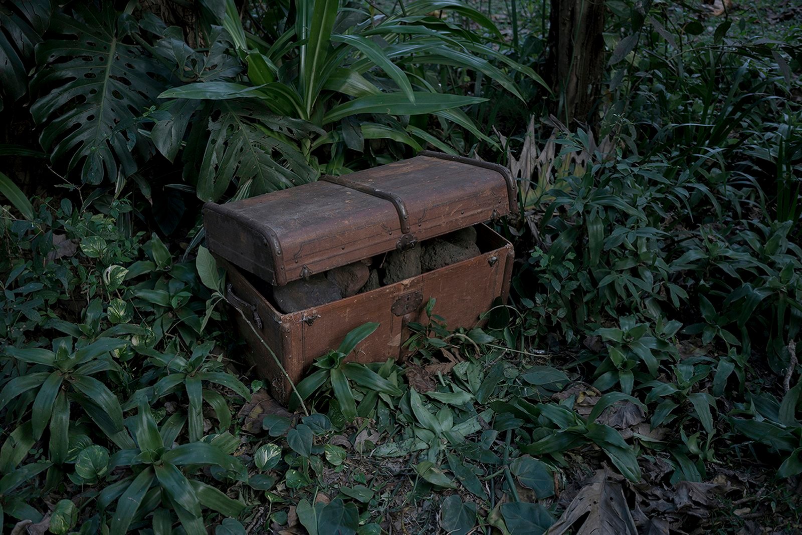 Image based on the stories about arrival in the new land. All the immigrants, were traveling with big the wooden cases ("baúl"), where they were keeping their goods. They were also easy target for port thieves, who were steeling their belongings and replacing them with rocks.