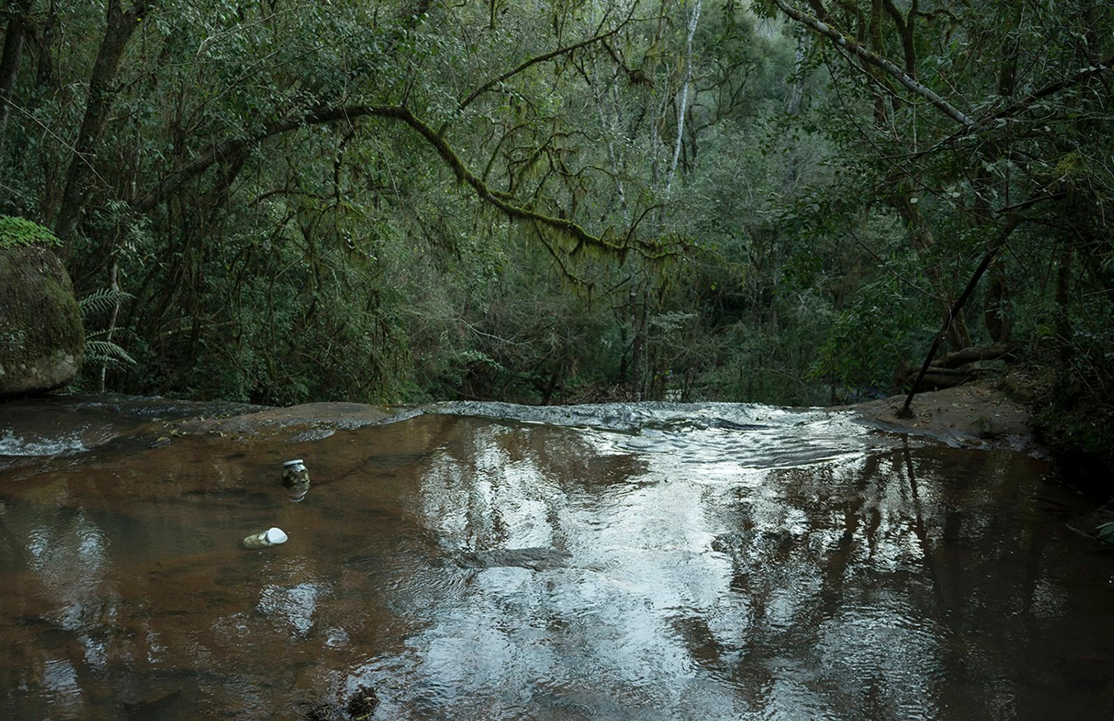 Image based on the stories about the first years of settlement in the new homeland. Due to the hot climate, immigrants cooled traditional polish pickles in the rivers and waterfalls.