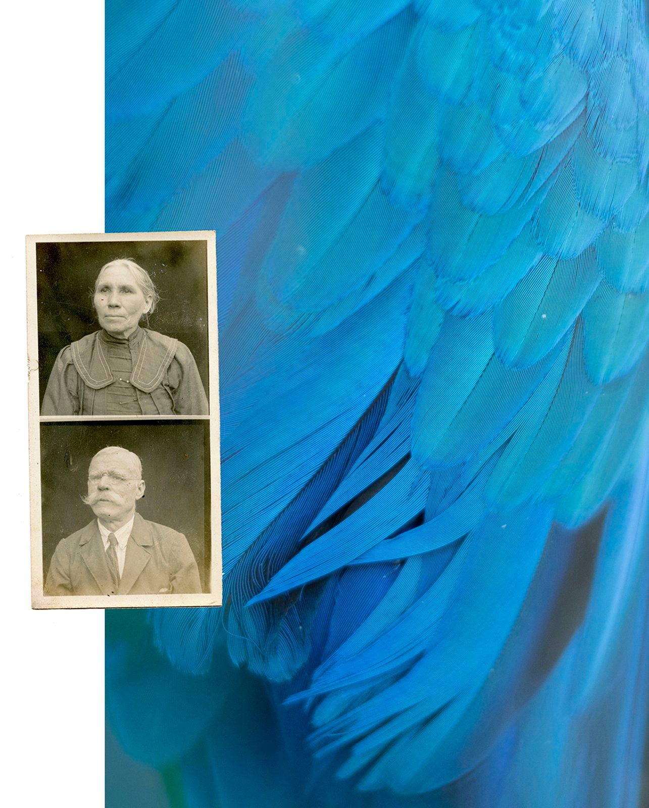 From the left: A plumage detail of a bird,Ara ararauna; Archival photo of Polish immigrants taken by Pedro Tarnowski - one of the two (the other was his brother) of the first Polish photographers in Apostoles, Misiones. Early XXth century,.