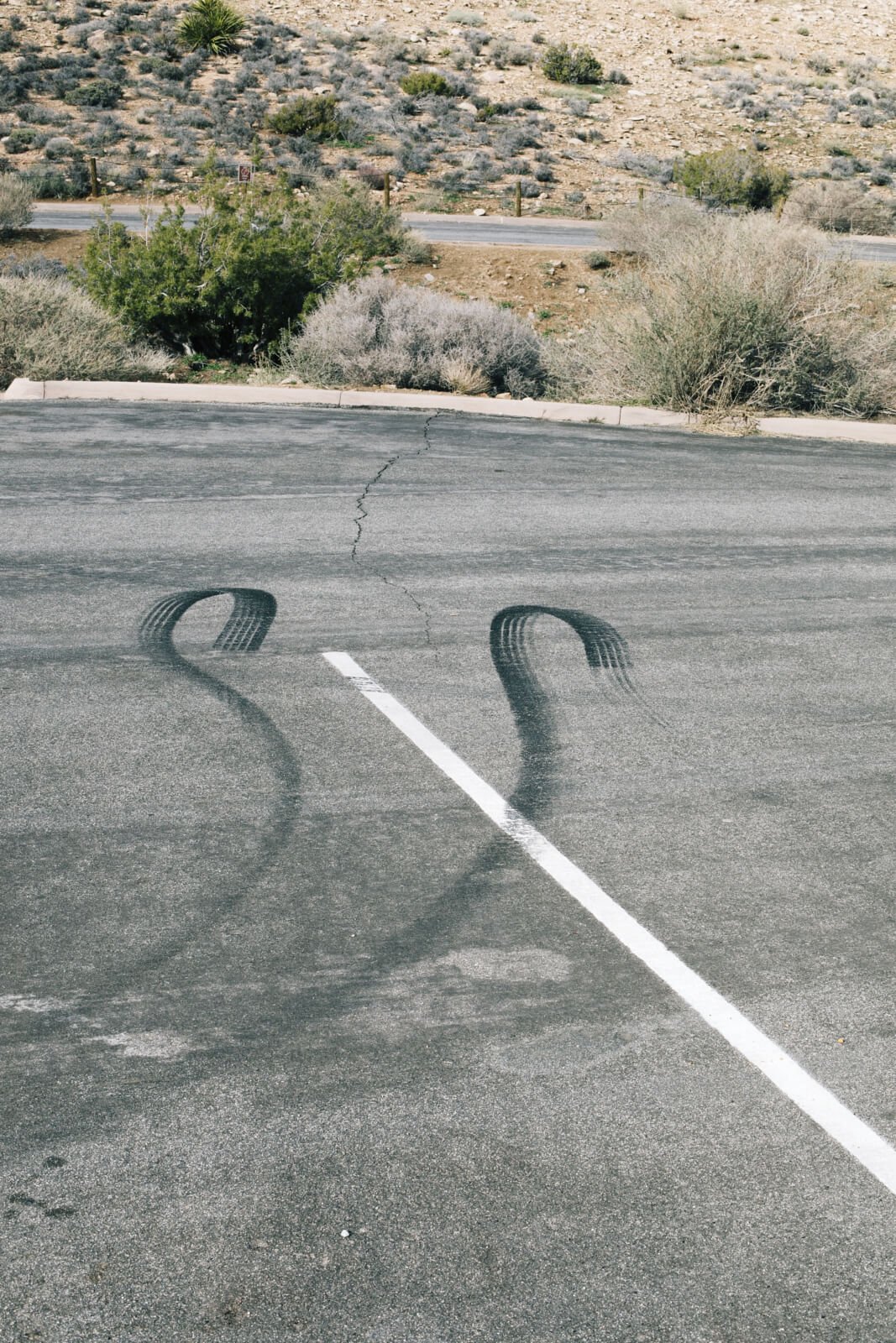 Stefanie-Moshammer_I-Can-Be-Her_6