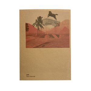 LIKE BY RYAN DEBOLSKI