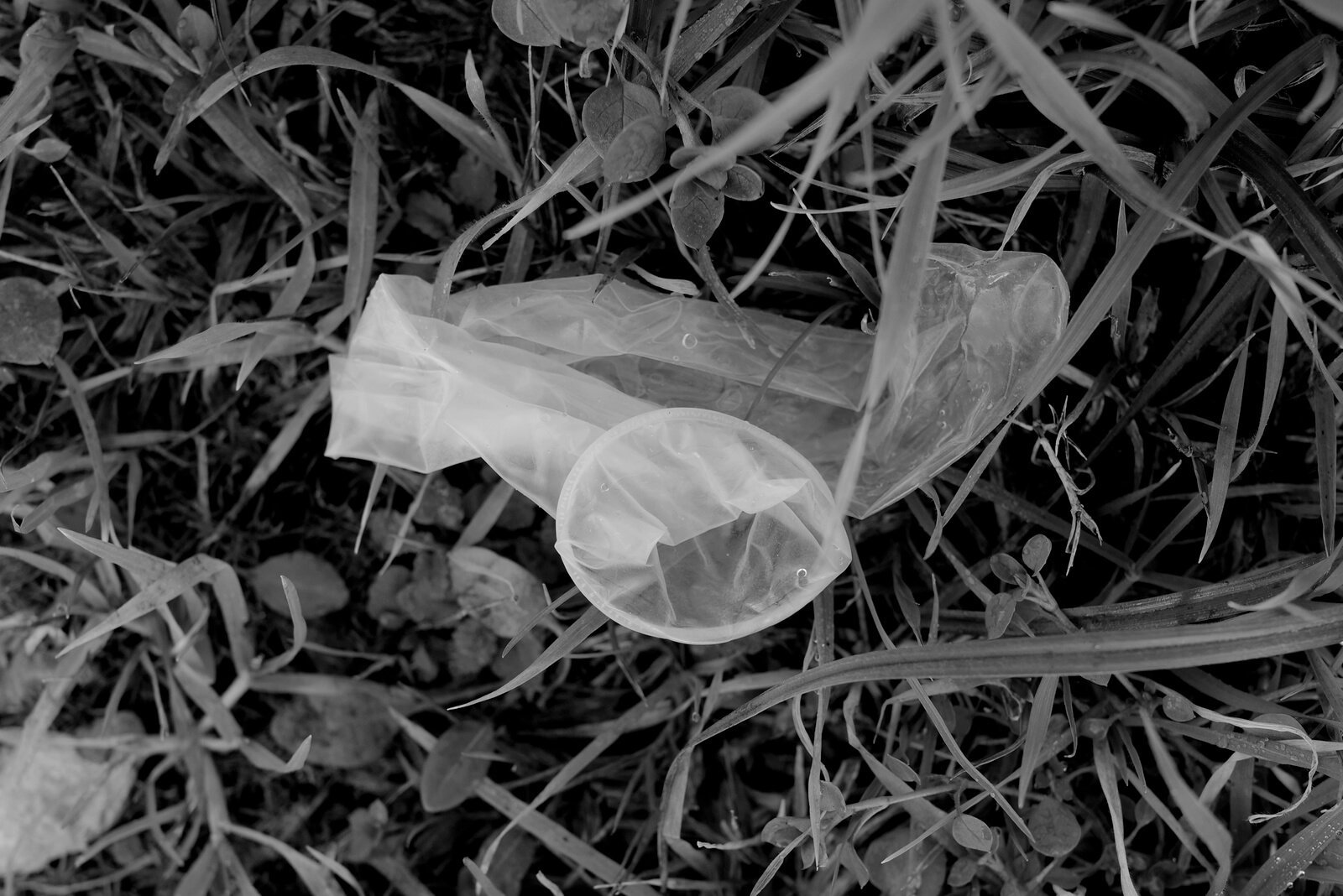 19_The-Absence_Attilio-Solzi