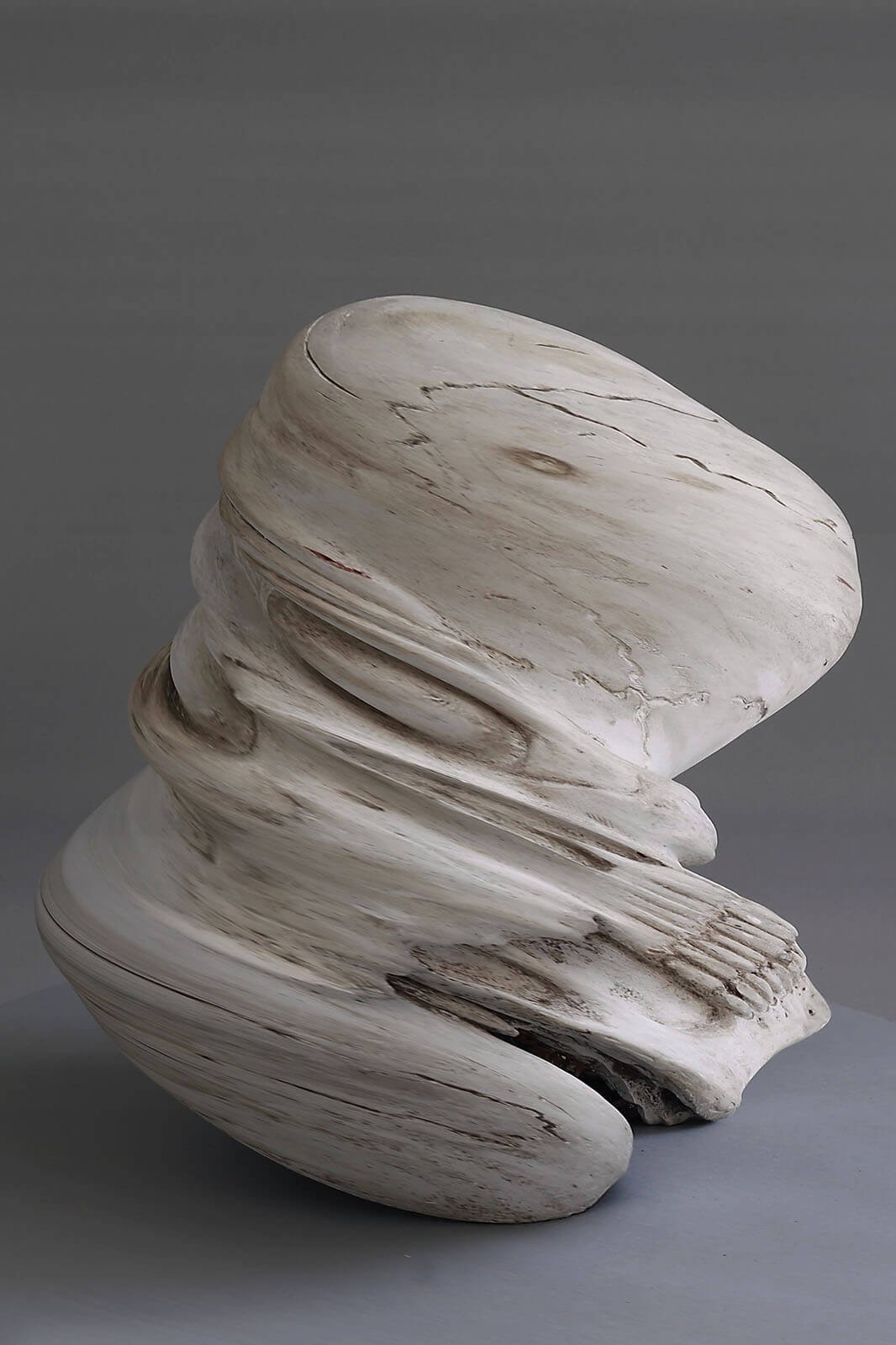 07.INCUBUS_Srikhao_Yogurt-Magazine