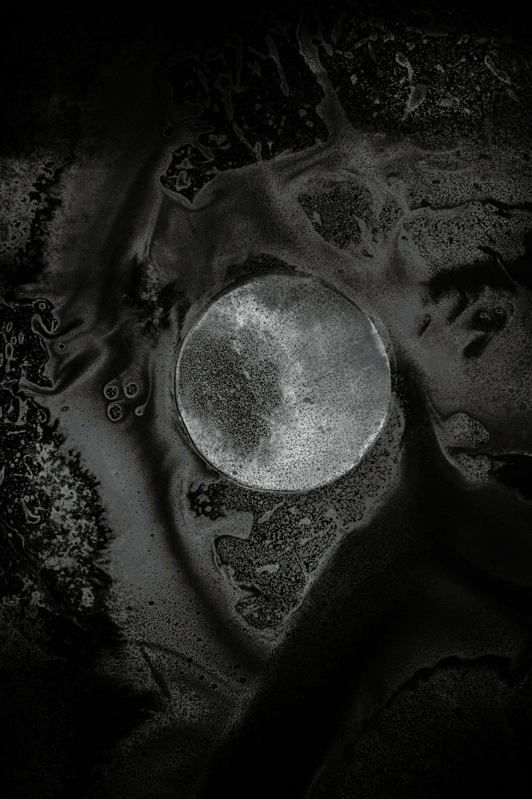 PHOTOGRAPHIE DE SANDRINE ELBERG