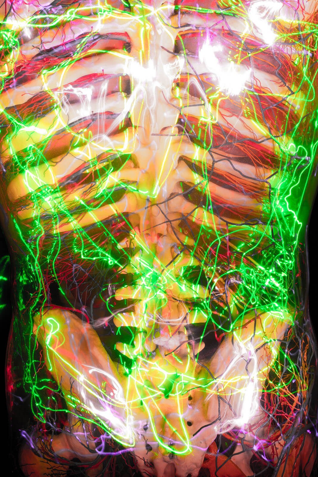 11.INCUBUS_Srikhao_Yogurt-Magazine