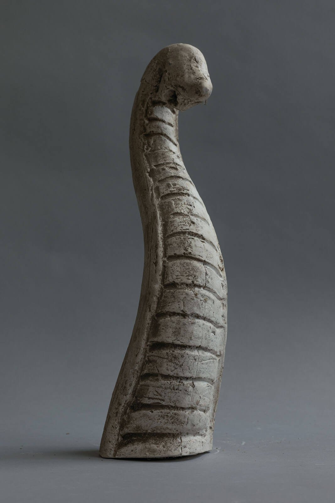 15.INCUBUS_Srikhao_Yogurt-Magazine