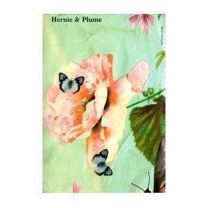 Hernie & Plume by Katherine Longly - Display Copy