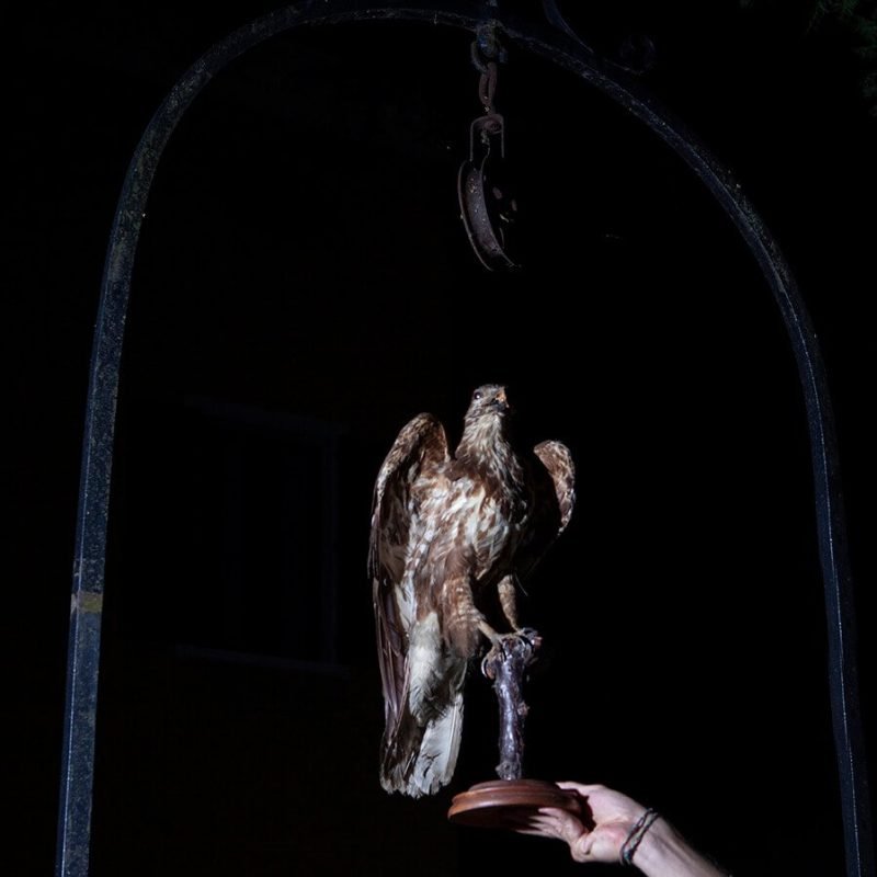 03.Chiara-Pavolucci_500mt-around-me_Yogurt-Magazine