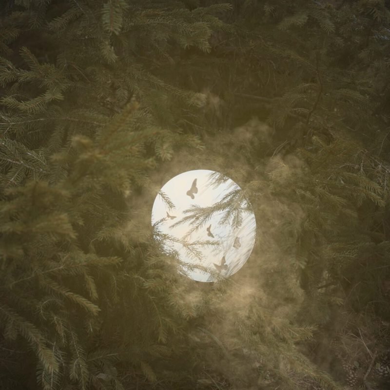 la-neve-nel-cuore_linda-pezzano_yogurt-magazine_22