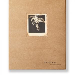 Herbarium, i fiori sono rimasti rosa by Alessandra Calò