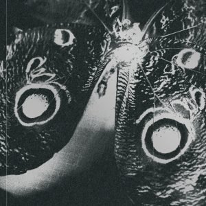 The missing eye by Mattia Parodi, Piergiorgio Sorgetti