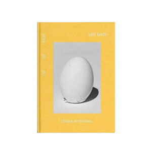 STILL BIRTH by Chiara Ernandes