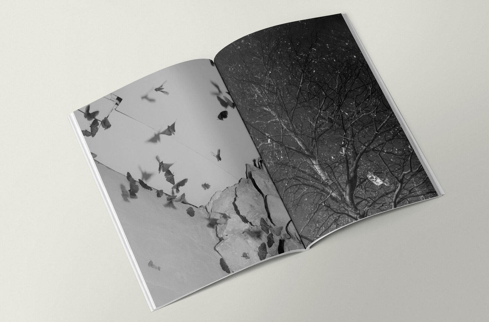 Yogur_Wildness_flavour-4