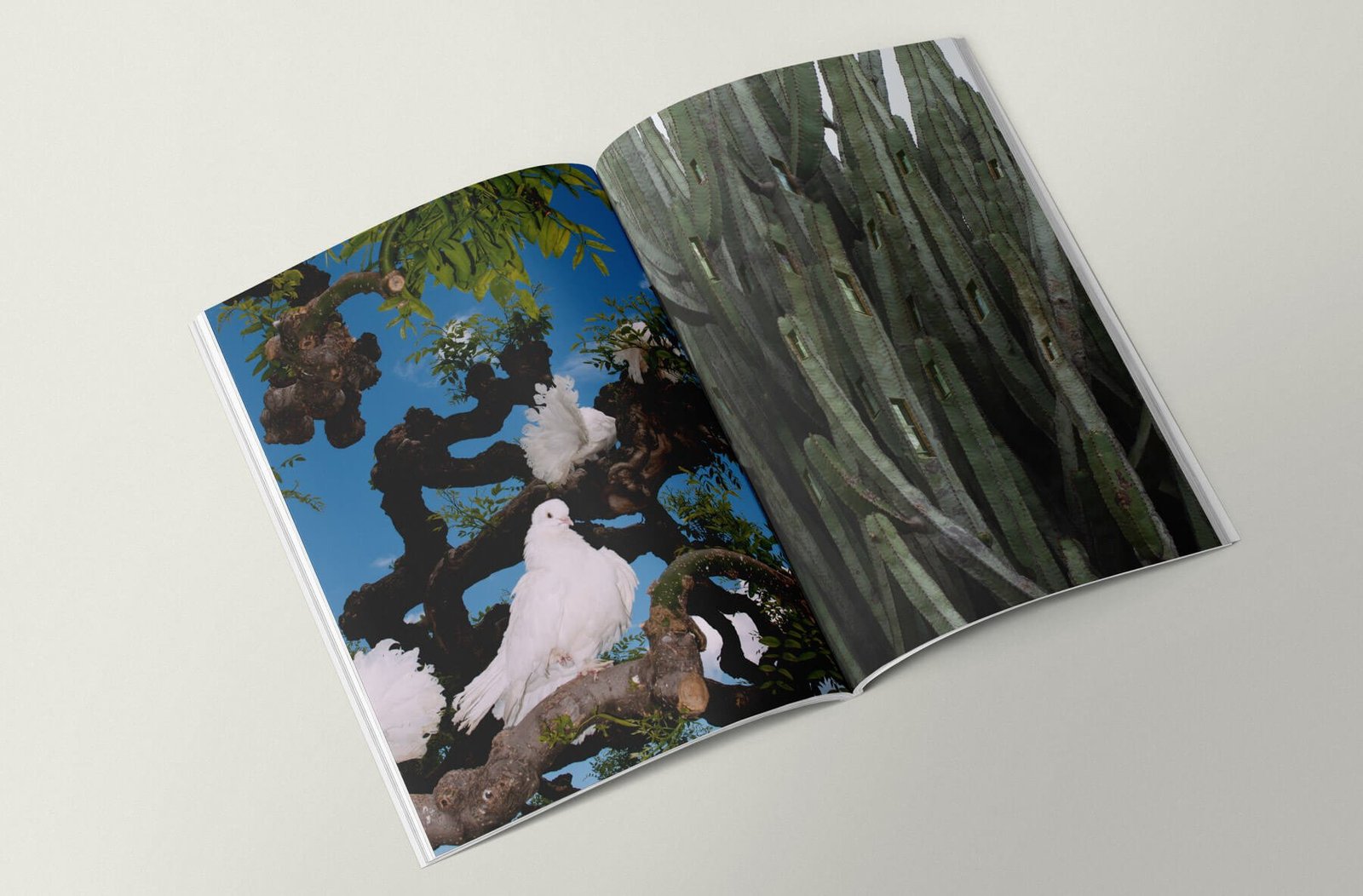 Yogur_Wildness_flavour-5