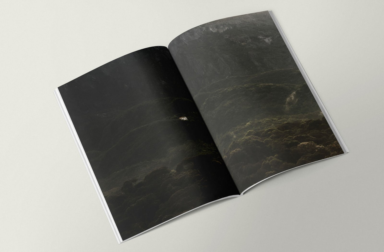 Yogur_Wildness_flavour-6